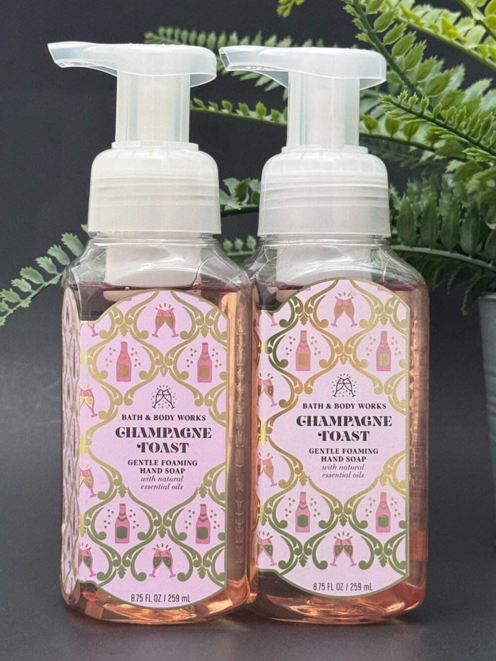 Bath & Body Works BBW Champagne Toast Gentle Foaming Hand Soaps X 2